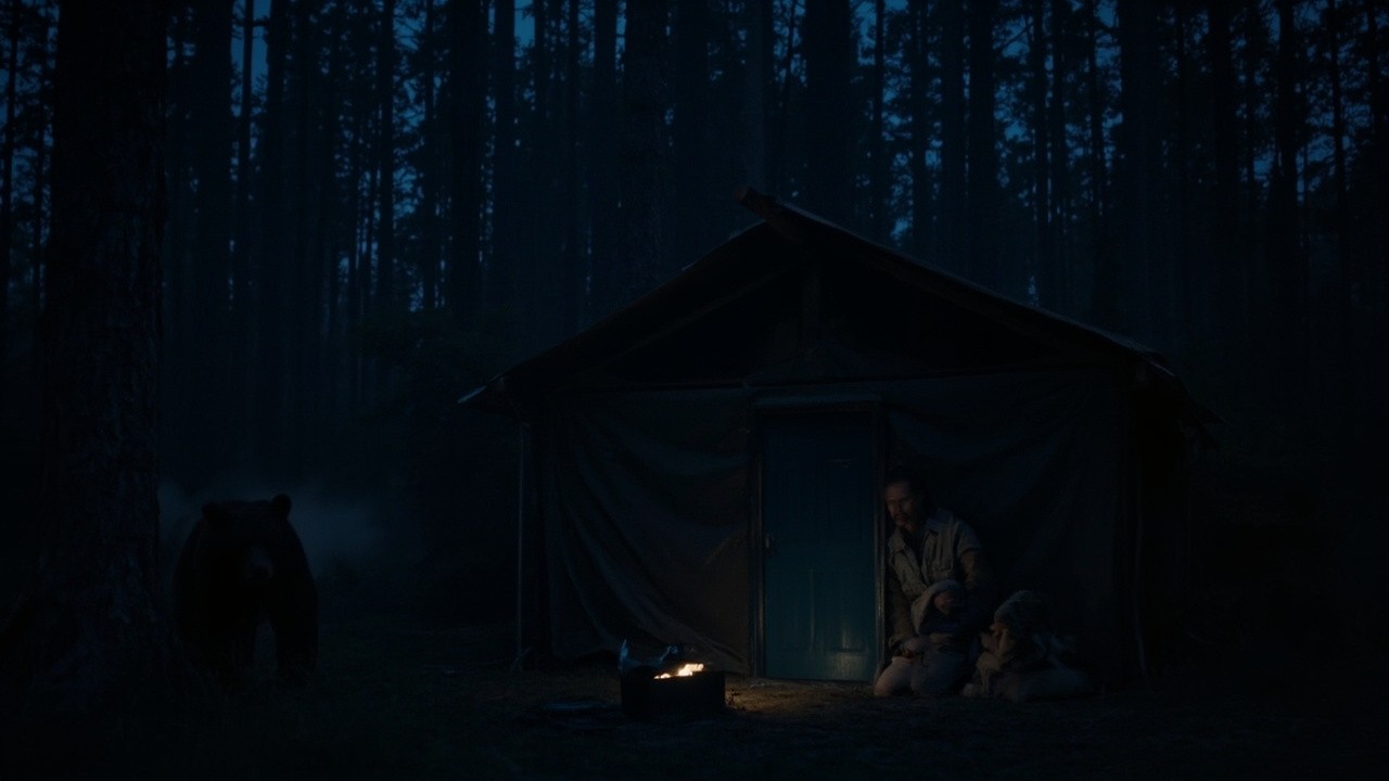 A Bear Stands Outside a Man's Forest Camp