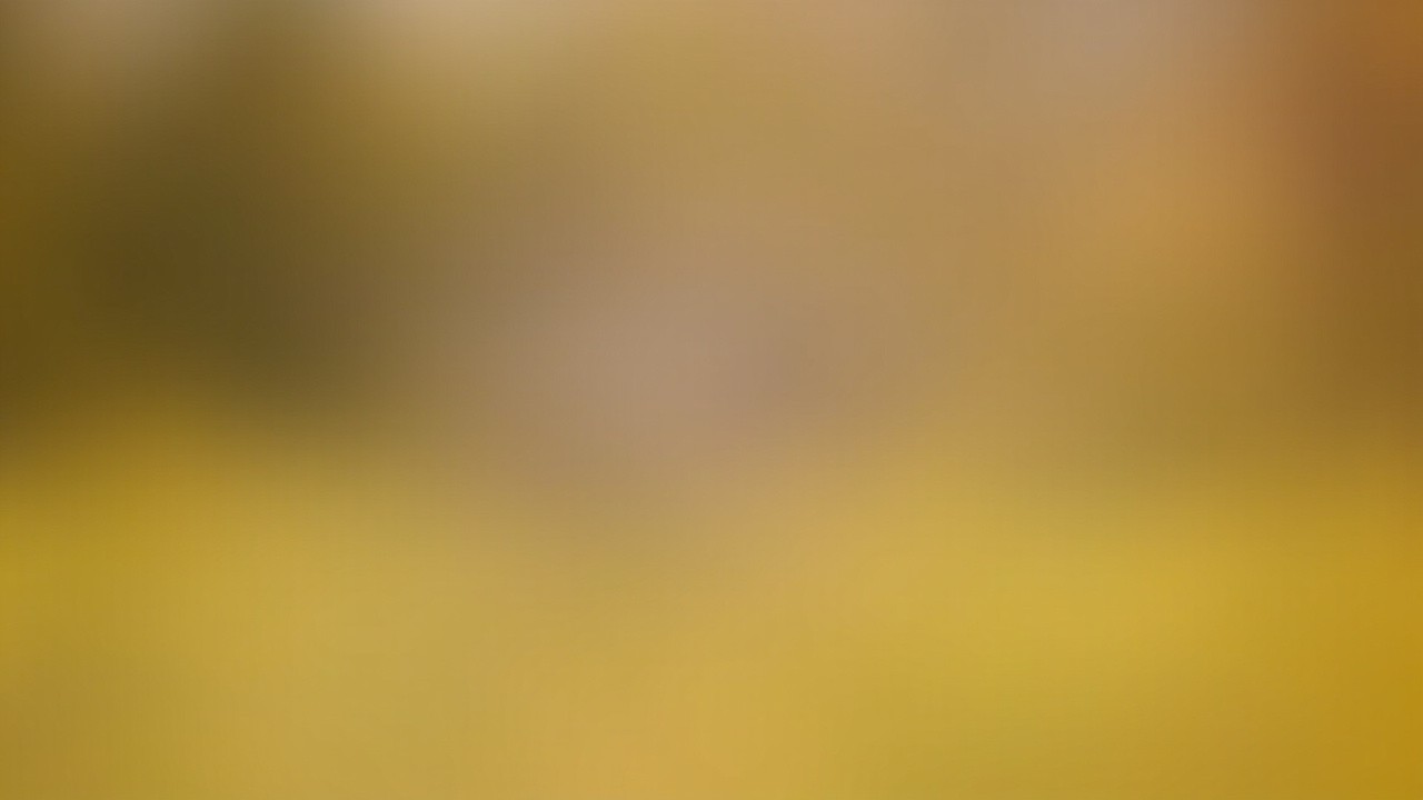 A Puppy Running in a Video