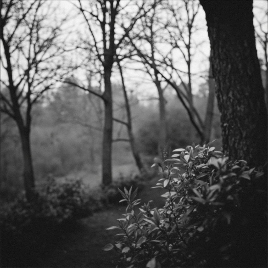 Digital Humanism Horizontal Photo