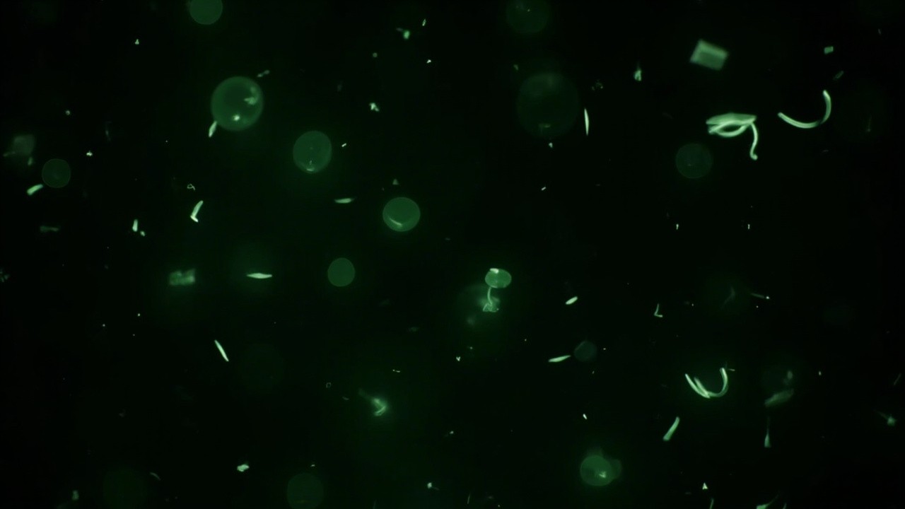 Green Glowing Lights on Christmas New Year Eve