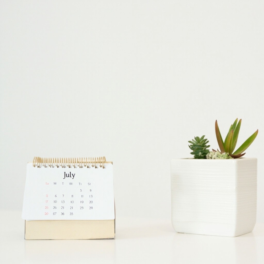 July Calendar with Money Plant on White Background