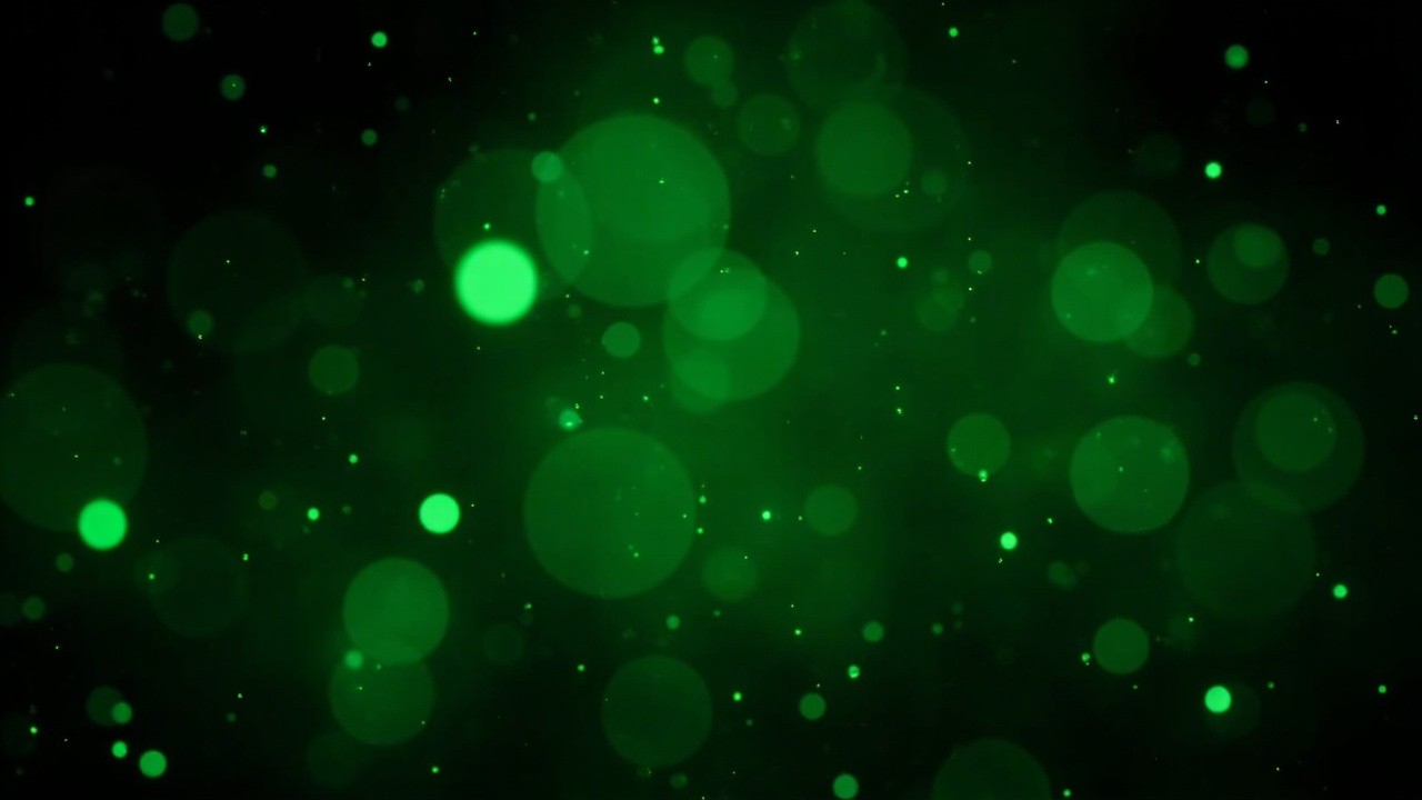 Massive Green Lights on Dark Christmas Night