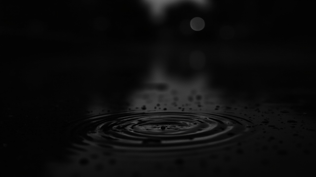 The Calm Rainy Night Captured in Monochrome