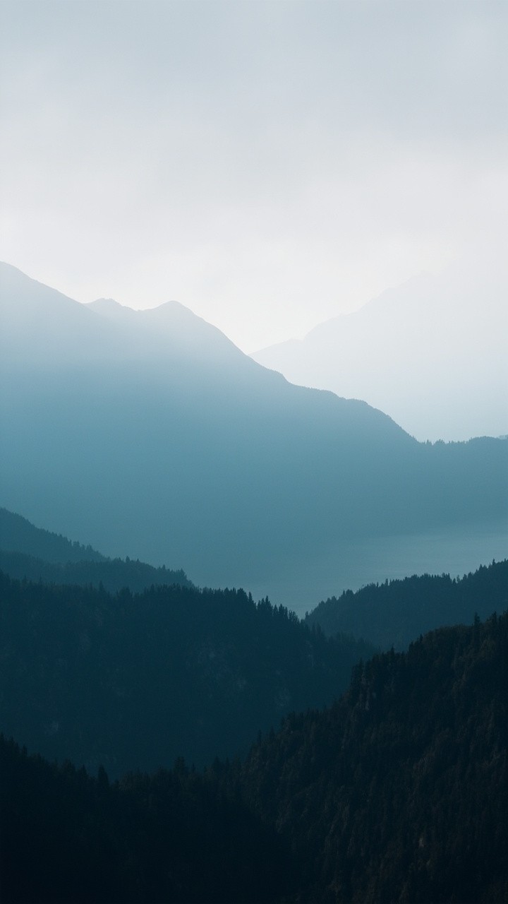 The Foggy Mountain Landscape
