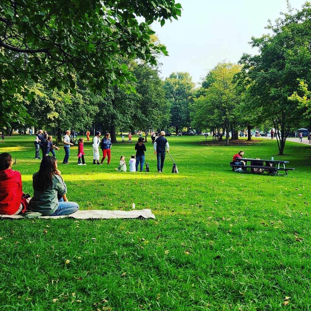 The Park with Grass, Trees, and Various People