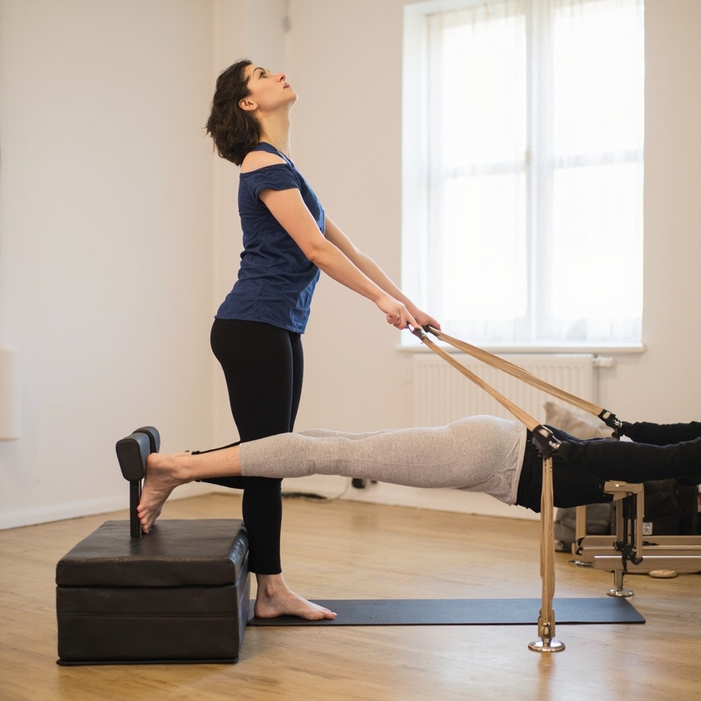 The Pilates Exercise Session