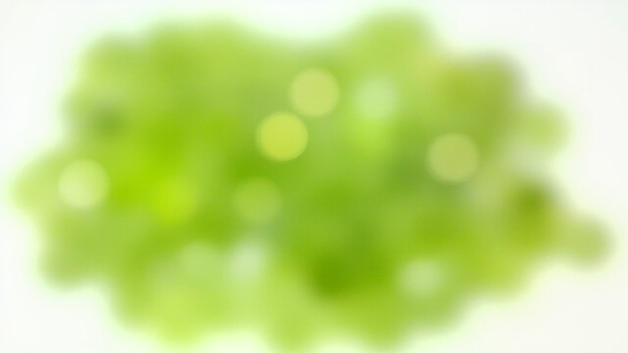The Shiny Green Peridot Gemstone