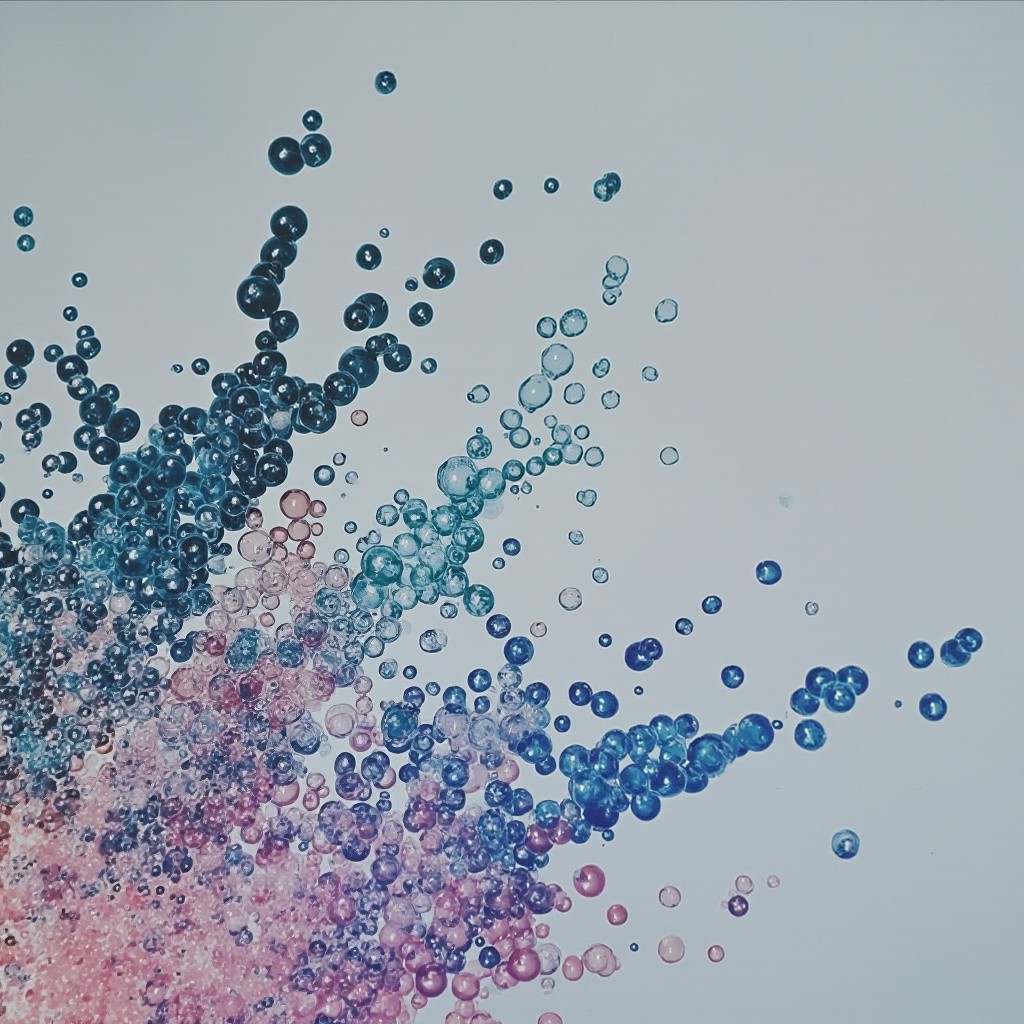 The Structure of Polymers
